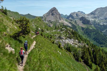 Monte navagiust - Oton Naglost 1